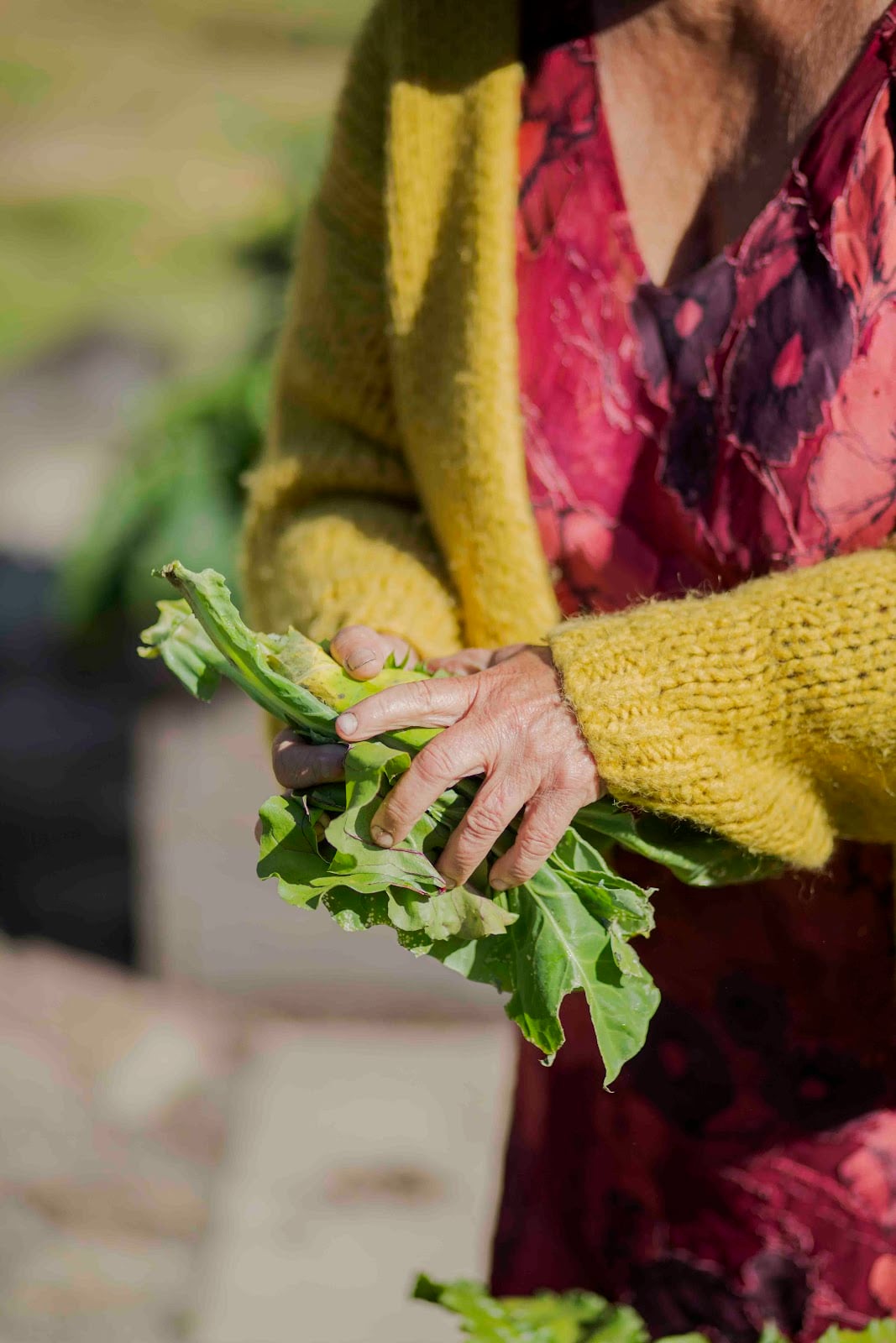 Betaling og udveksling mellem os